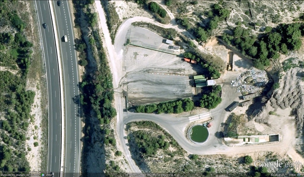 Planta de Colsur a la zona de barranc Salat - Oltà