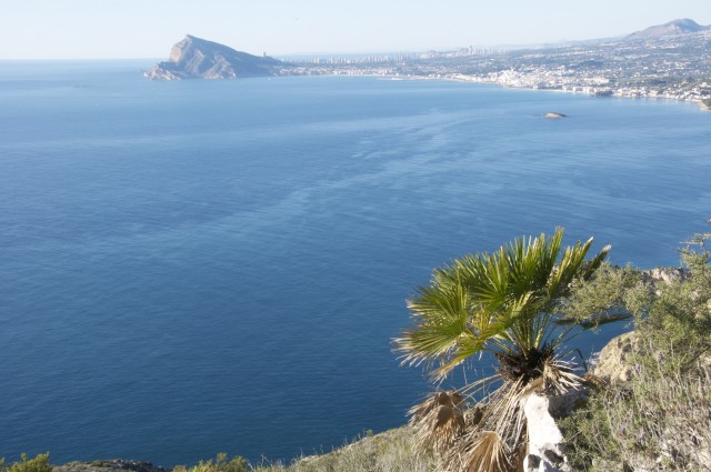 Ell margalló que vigila l'Albir